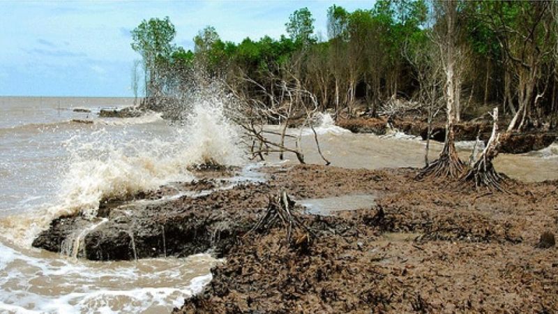Khu vực Đồng bằng sông Cửu Long có nguy cơ cao bị xâm nhập mặn mùa khô năm nay. Ảnh internet.