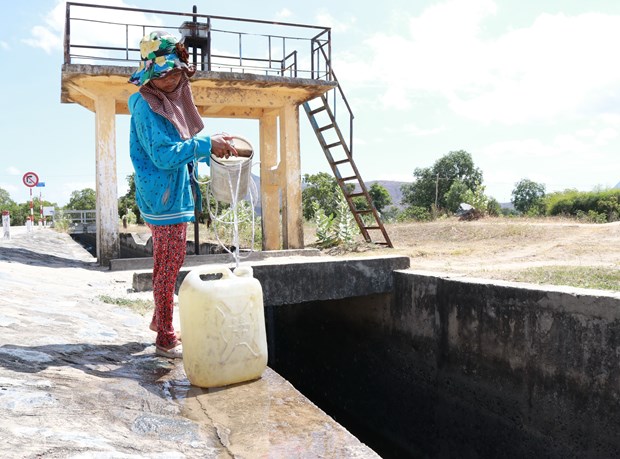 Người dân xã Công Hải (huyện Thuận Bắc, Ninh Thuận) múc nước từ kênh thủy lợi đem về cho gia súc uống trong mùa khô 2020. (Ảnh: Nguyễn Thành/TTXVN)