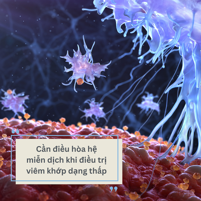 Những lưu ý khi điều trị viêm khớp dạng thấp và giải pháp từ Hoàng Thấp Linh