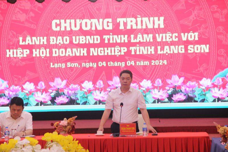 Phó Chủ tịch UBND tỉnh Lạng Sơn Đoàn Thanh Sơn phát biểu kết luận
