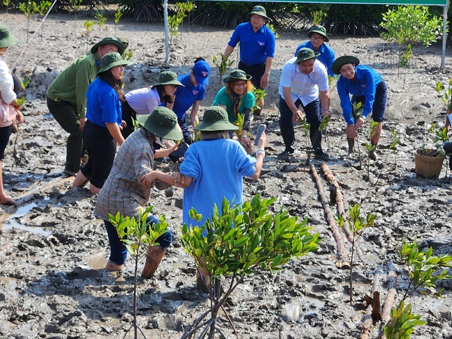 Thanh niên tham gia trồng cây gây rừng tại Khu du lịch Mũi Cà Mau.