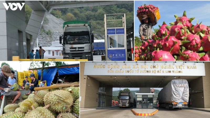 Xuất khẩu hàng hóa của Việt Nam sang Trung Quốc.