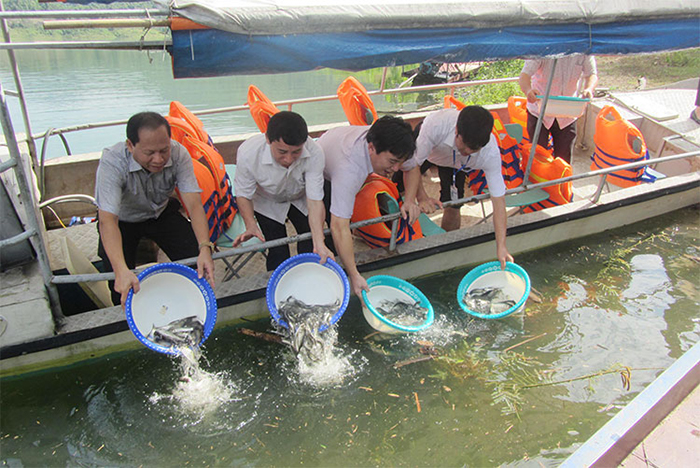 Tổ chức hiệu quả các hoạt động thả giống tái tạo nguồn lợi thủy sản