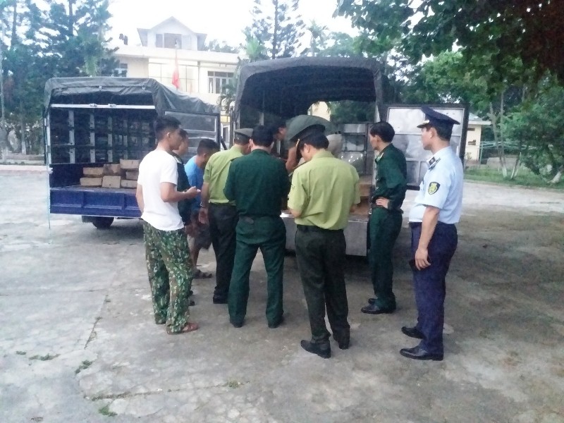 Thừa Thiên Huế- Phát hiện xe ô tô vận chuyển gỗ không rõ nguồn gốc