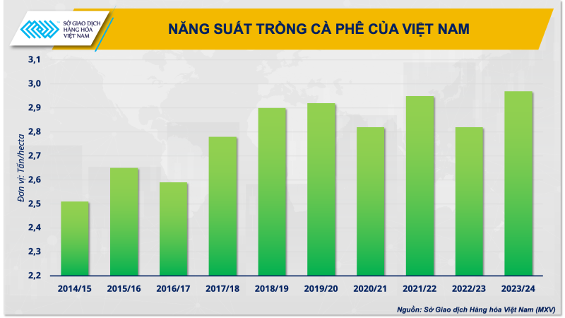 Năng suất trồng cà phê của Việt Nam.