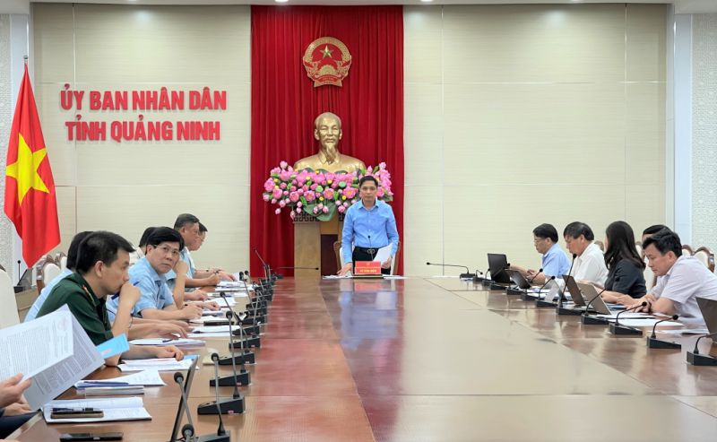 Ông Vũ Văn Diện, Phó Chủ tịch Thường trực UBND tỉnh, Trưởng Ban Chỉ đạo 389 tỉnh Quảng Ninh, phát biểu tại cuộc họp.