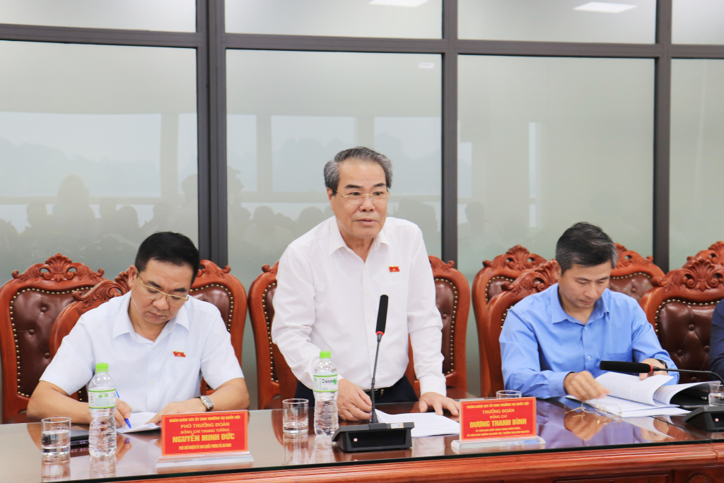 Ông Dương Thanh Bình, Ủy viên Ban Chấp hành Trung ương Đảng, Ủy viên Ban Thường vụ Quốc hội, Trưởng Ban Dân nguyện phát biểu tại buổi làm việc.