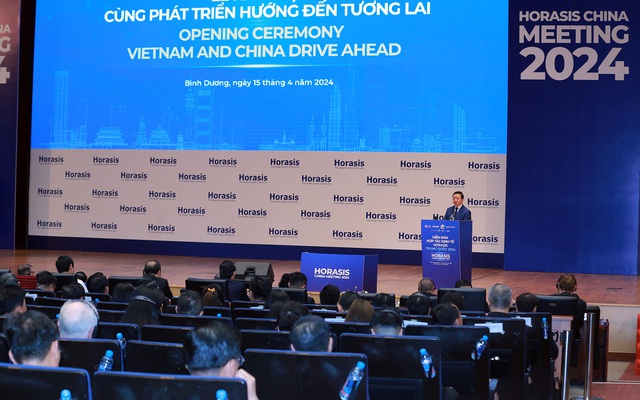 Phó Thủ tướng Trần Hồng Hà cho rằng Bình Dương cần phát triển năng lượng xanh, tái tạo, lưới điện thông minh, cơ chế chính sách thông minh, tạo cho DN có không gian đầu tư và đạt được mục tiêu đặt ra - Ảnh: VGP/Minh Khôi