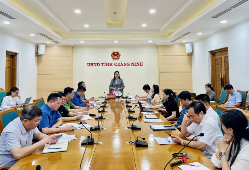 Đưa Carnaval Hạ Long 2024 trở thành sản phẩm đặc sắc, độc đáo có kết hợp với công nghệ số