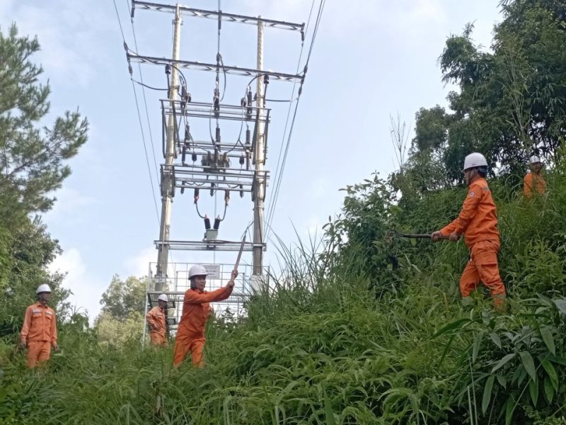 Điện lực Than Uyên (PC Lai Châu) ra quân phát quang hàng lang đảm bảo vận hành an toàn lưới điện