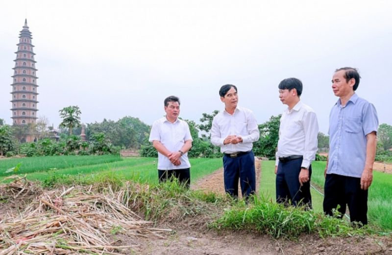 Bí thư Tỉnh ủy Vĩnh Phúc Dương Văn An (thứ 2 bên trái ảnh) kiểm tra thực địa tại Di tích khảo cổ học Đồng Đậu.