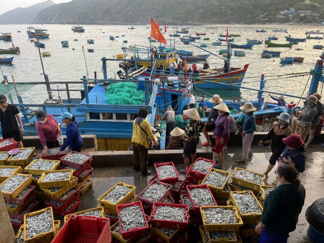 IUU chỉ là bước khởi đầu cấu trúc lại nghề cá minh bạch, trách nhiệm và bền vững