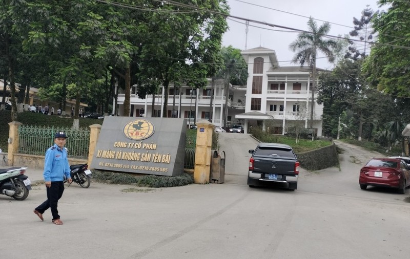 Công ty Xi măng và Khoáng sản Yên Bái kinh doanh ra sao?