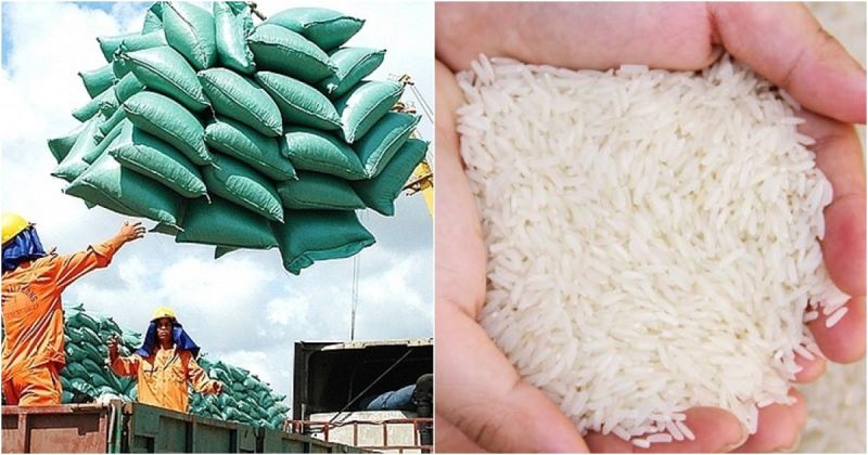 Giá lúa gạo Việt Nam "hạ nhiệt" trong giai đoạn vừa qua là hợp lý