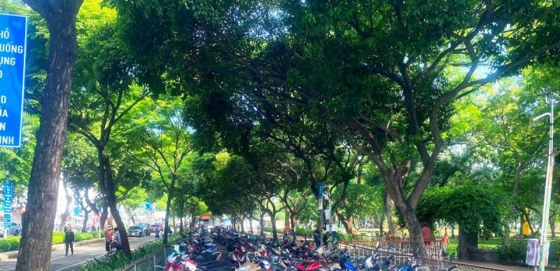 Từ năm 2021 đến nay, TP. Hồ Chí Minh chỉ phát triển được gần 25ha diện tích cây xanh, chưa tới 1/5 mục tiêu đề ra đến năm 2025.