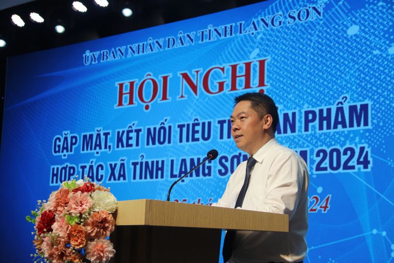 Phó Chủ tịch UBND tỉnh Lạng Sơn Đoàn Thanh Sơn phát biểu khai mạc tại hội nghị