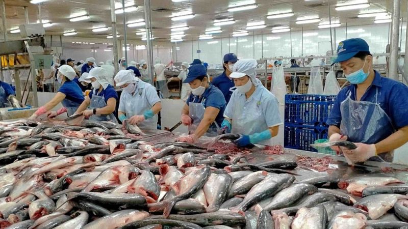 Ngành thủy sản có nhiều kiến nghị để phát triển ngành trong thời gian tới (Ảnh minh hoạ)