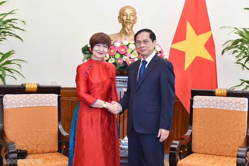 Bộ trưởng Bộ Ngoại giao Bùi Thanh Sơn tiếp bà Simona-Mirela Miculescu, Chủ tịch Đại hội đồng UNESCO - Ảnh: VGP/Nhật Bắc