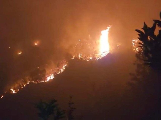Ngày 26/4/2024, cháy rừng tại tỉnh Hà Giang làm thiệt hại nhiều hec-ta rừng, ảnh hưởng đến môi trường sinh thái và đời sống của nhân dân trên địa bàn.