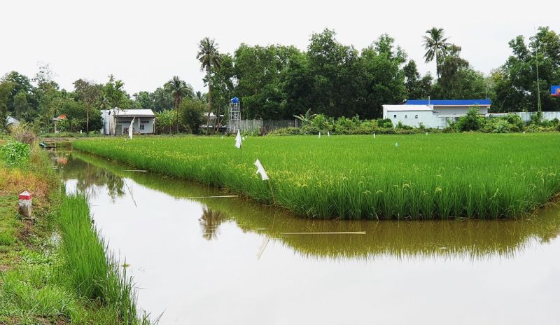 Năm 2024, chuyển đổi từ đất trồng lúa kết hợp nuôi trồng thủy sản trên 122 ha.