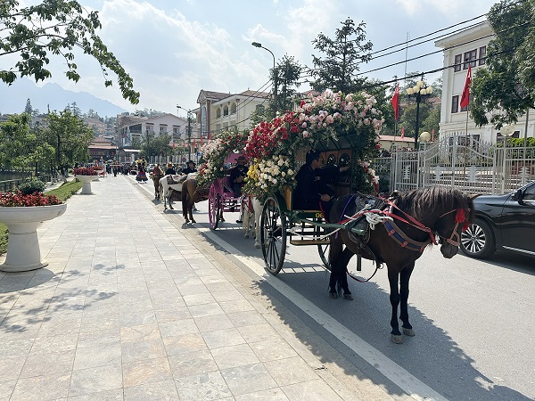 Đoàn xe ngựa dược trang trí hoa hồng sẵn sàng diễu hành
