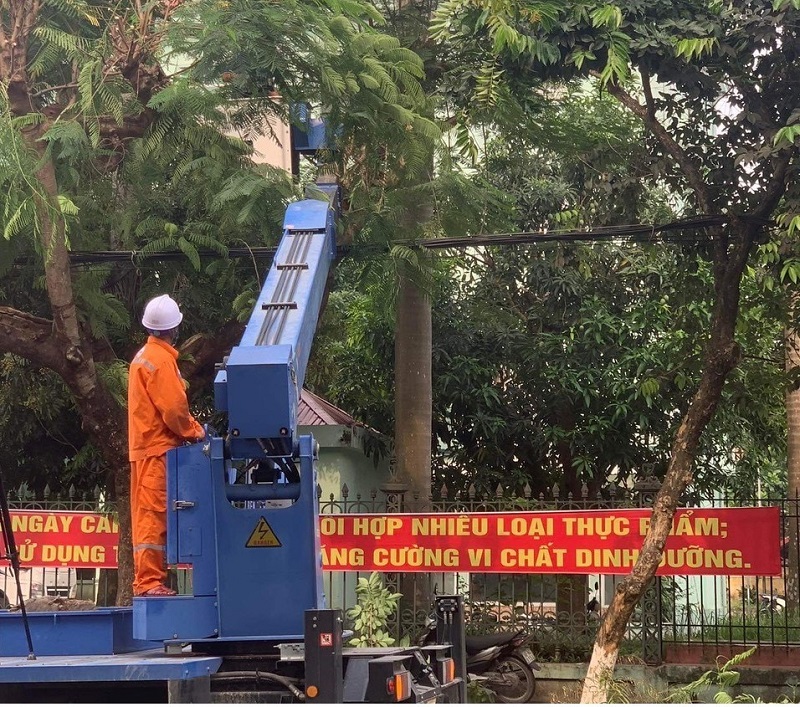 Công nhân Điện lực Phủ Lý chặt cây, tỉa cành đảm bảo an toàn hành lang lưới điện