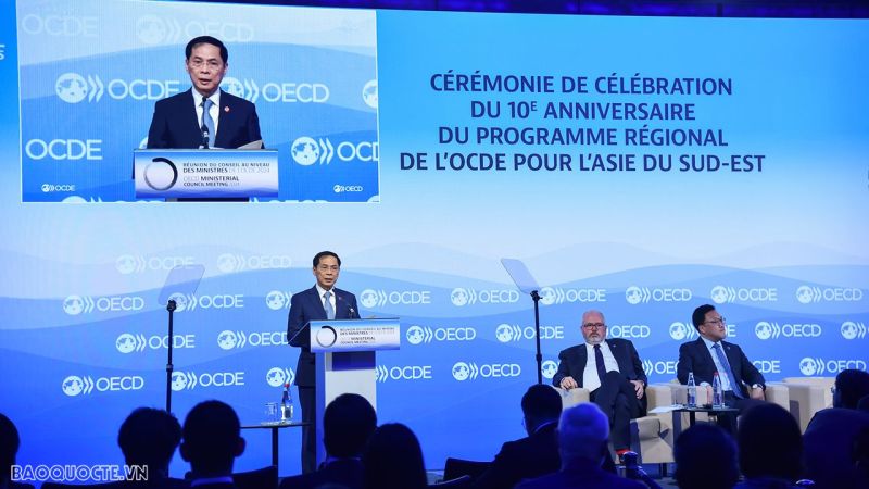 Bộ trưởng Ngoại giao Bùi Thanh Sơn phát biểu đề xuất OECD đi đầu trong thúc đẩy hợp tác toàn cầu. (Ảnh: Tuấn Anh)