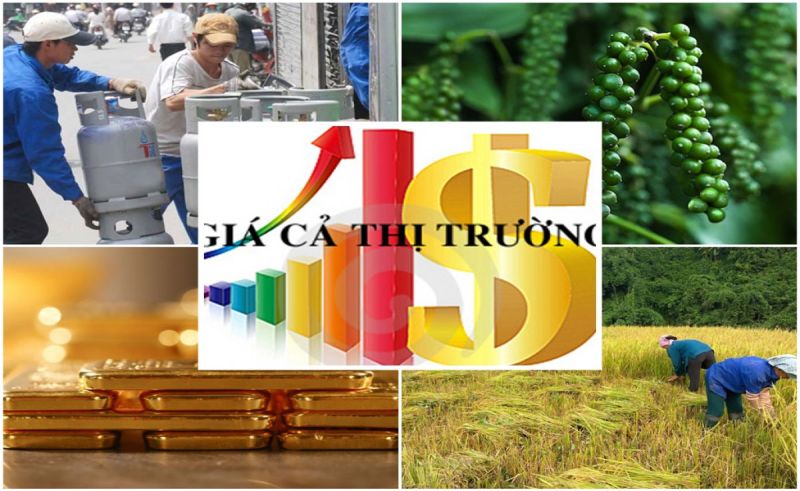 Giám sát biến động giá, kiểm soát lạm phát trong mọi tình huống