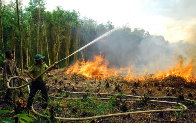 Hậu Giang nâng cảnh báo nguy cơ cháy rừng lên cấp cực kỳ nguy hiểm