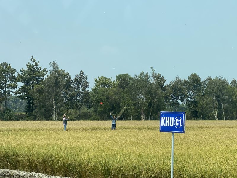 Xuất khẩu gạo tăng hơn 22% về giá trị so với cùng kỳ năm 2023 - Ảnh: VGP/Đỗ Hương