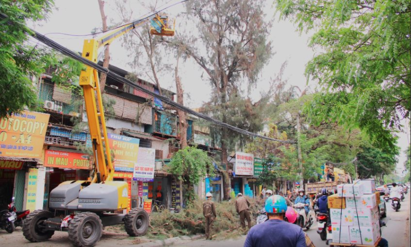 Hà Nội triển khai cắt tỉa cây xanh đảm bảo an toàn trước mùa mưa bão