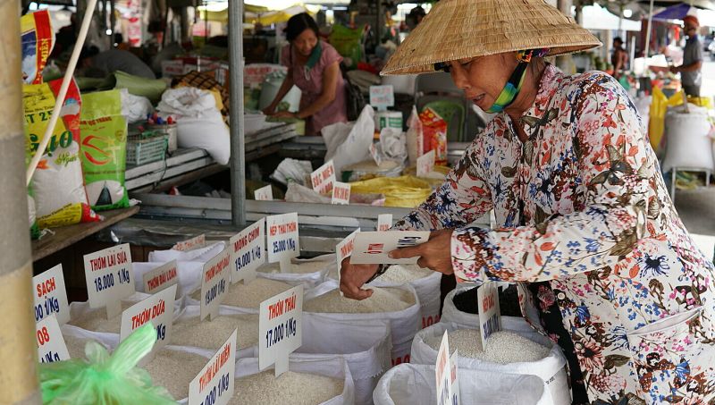 Giá lúa gạo xuất khẩu bật tăng trở lại. (Ảnh minh họa)