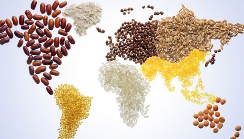 Chỉ số giá lương thực toàn cầu đã tăng tháng thứ hai liên tiếp