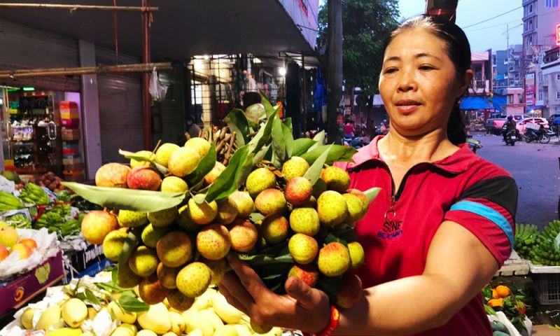 Vải thiều sớm Bắc Giang.