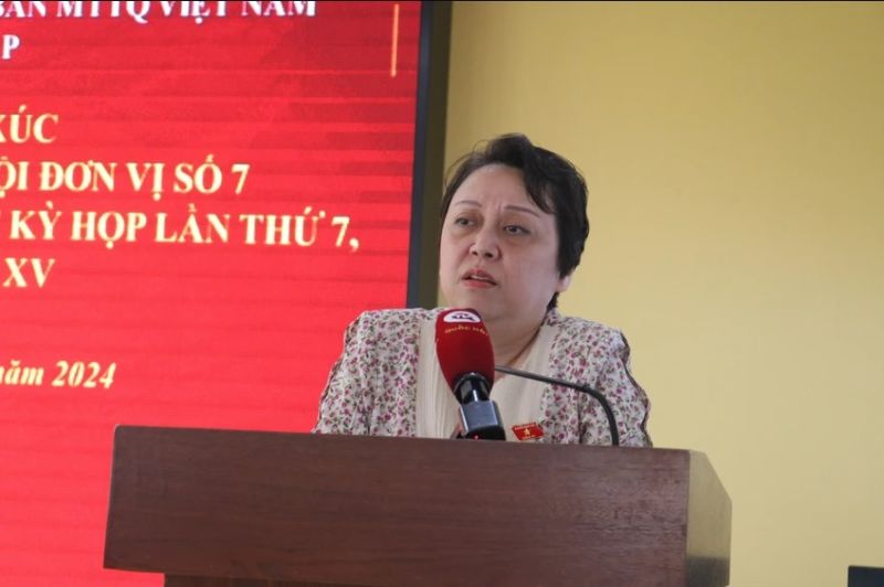 Bà Phạm Khánh Phong Lan phát biểu tại buổi tiếp xúc. Ảnh: HỒNG THẮM