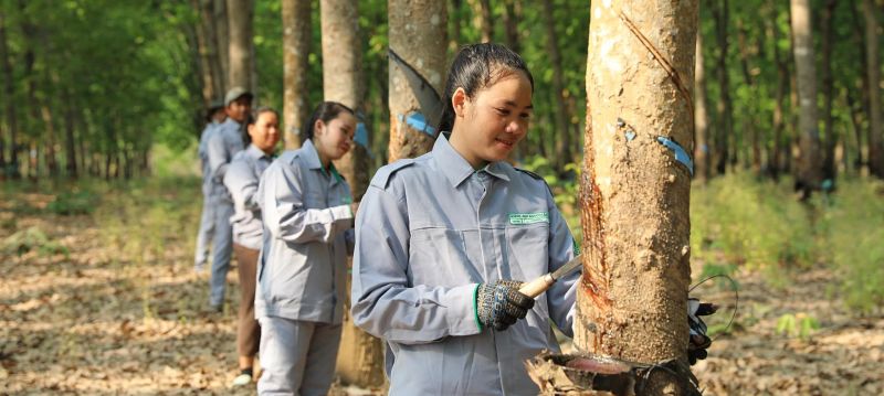 THACO AGRI đẩy mạnh tuyển dụng công nhân tại các địa phương thuộc Lào, Campuchia