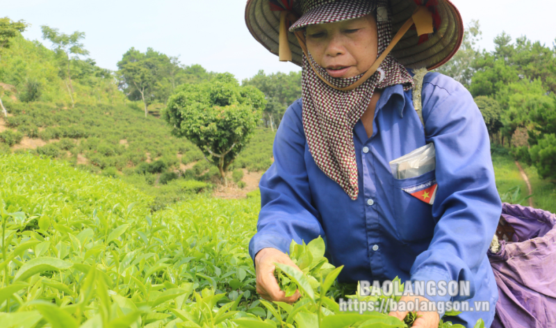 Giảm nghèo là thành tựu trong bảo vệ quyền con người ở Việt Nam.