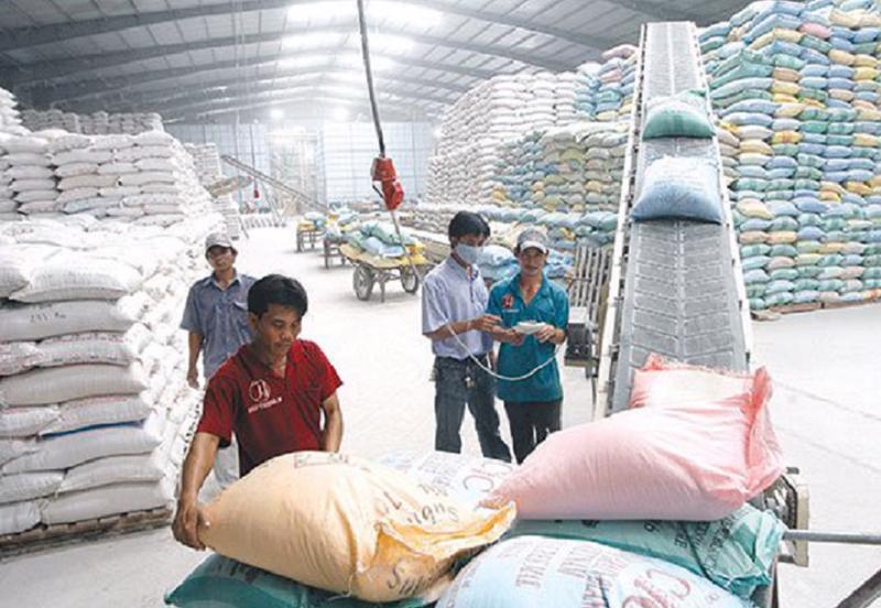Nên xây dựng chiến lược xuất khẩu gạo theo thị trường, khu vực và chất lượng. Ảnh internet.