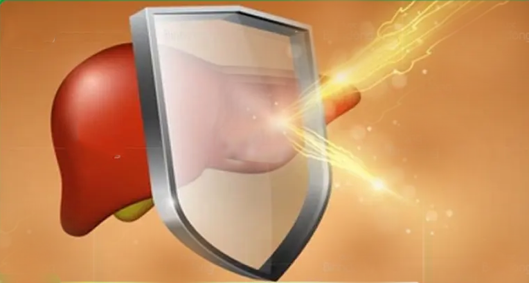 Ganliver - Giải pháp cho người mắc men gan cao