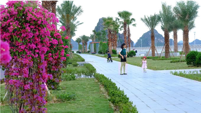 Bộ Công an yêu cầu Quảng Ninh rà soát, cung cấp thông tin các dự án trồng, chăm sóc cây xanh, chỉnh trang đô thị