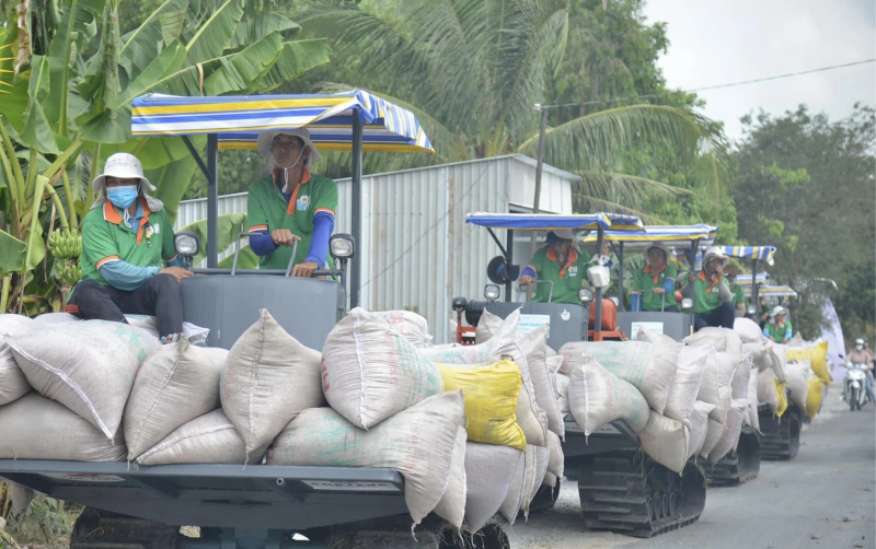Giá lúa gạo hôm nay 17/5: Biến động trái chiều