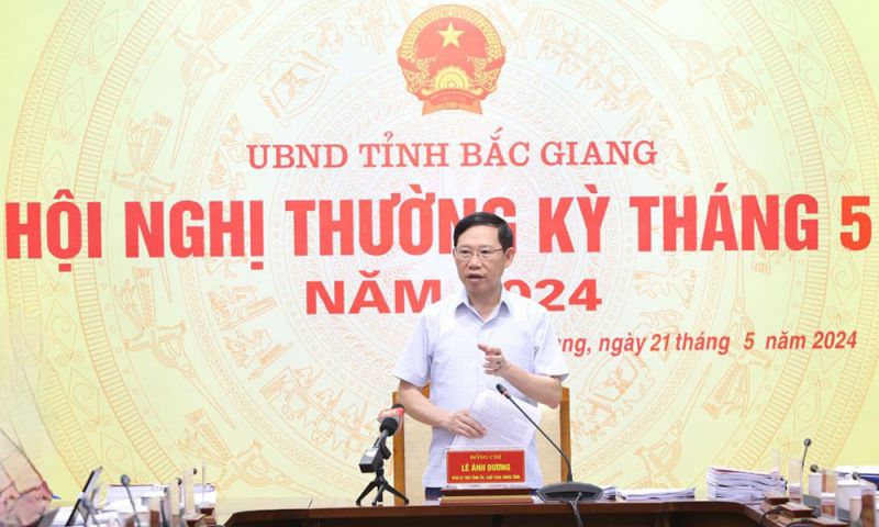 Chủ tịch UBND tỉnh Bắc Giang Lê Ánh Dương phát biểu tại hội nghị.