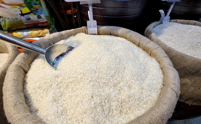 Giá lúa hôm nay đi ngang, giá gạo xuất khẩu ở mức thấp. (Ảnh minh họa)