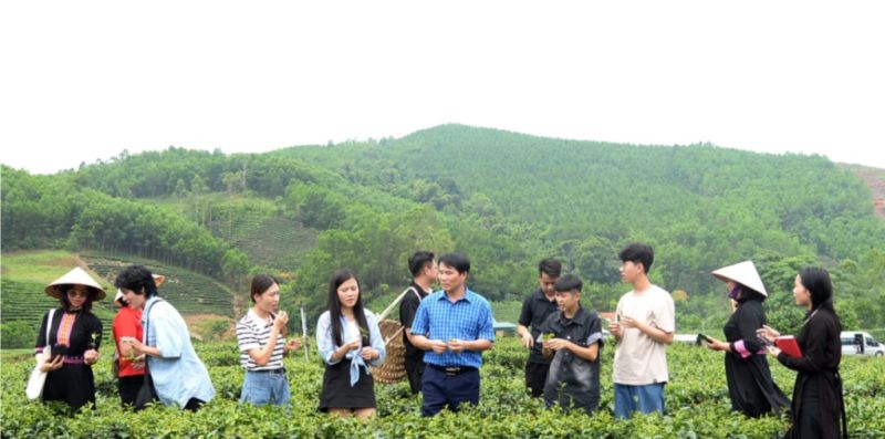 Các đại biểu và các KOLs, các TikToker nổi tiếng tham quan, trải nghiệm tại đồi chè thị trấn Nông trường Thái Bình, huyện Đình Lập, tỉnh Lạng Sơn