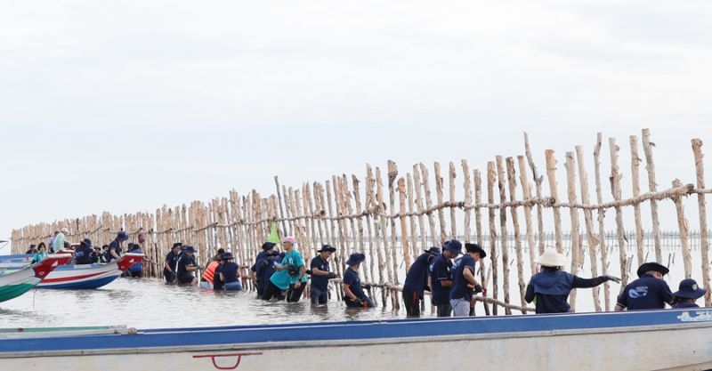 Công ty BAT Việt Nam và Trung tâm bảo tồn Thiên nhiên Gaia vừa tổ chức chương trình khoanh nuôi xúc tiến tái sinh tự nhiên 40 ha bãi bồi tại vùng lõi thuộc Vườn Quốc gia Mũi Cà Mau. (Ảnh KTĐT) Công ty BAT Việt Nam và Trung tâm bảo tồn Thiên nhiên Gaia vừa tổ chức chương trình khoanh nuôi xúc tiến tái sinh tự nhiên 40 ha bãi bồi tại vùng lõi thuộc Vườn Quốc gia Mũi Cà Mau. (Ảnh KTĐT)