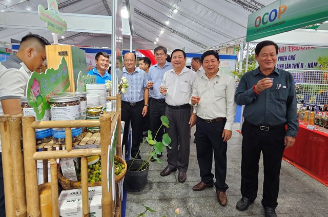 Lãnh đạo các sở, ban, ngành và thành phố Quy Nhơn tham quan các gian hàng tại phiên chợ Nông sản Bình Định