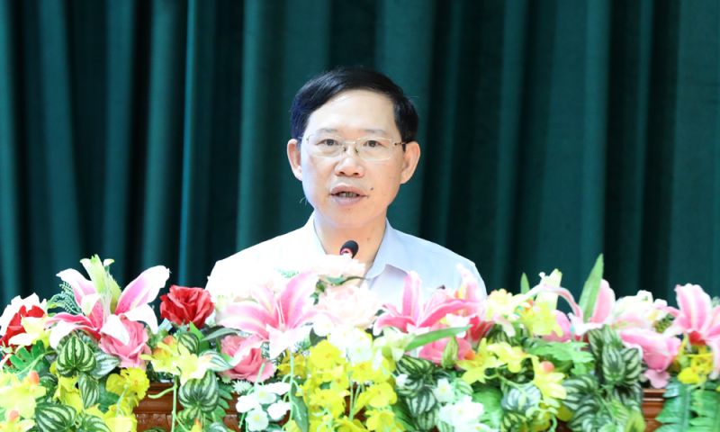 Đồng chí: Lê Ánh Dương, Chủ tịch UBND tỉnh phát biểu tại hội nghị.