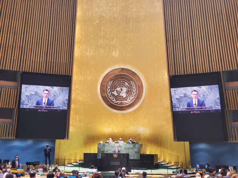 Đại sứ Đặng Hoàng Giang phát biểu tại phiên họp đặc biệt của Đại hội đồng Liên Hợp Quốc (Nguồn: TTXVN)