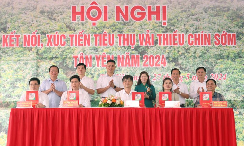 Các đơn vị ký kết chương trình hợp tác xúc tiến tiêu thụ vải thiều huyện Tân Yên năm 2024.