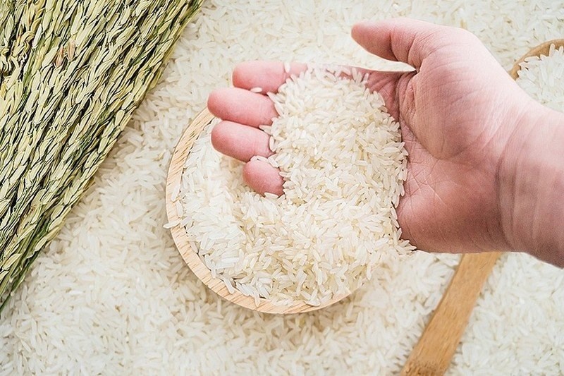 Giá lúa gạo hôm nay 28/5: Biến động theo hướng giảm